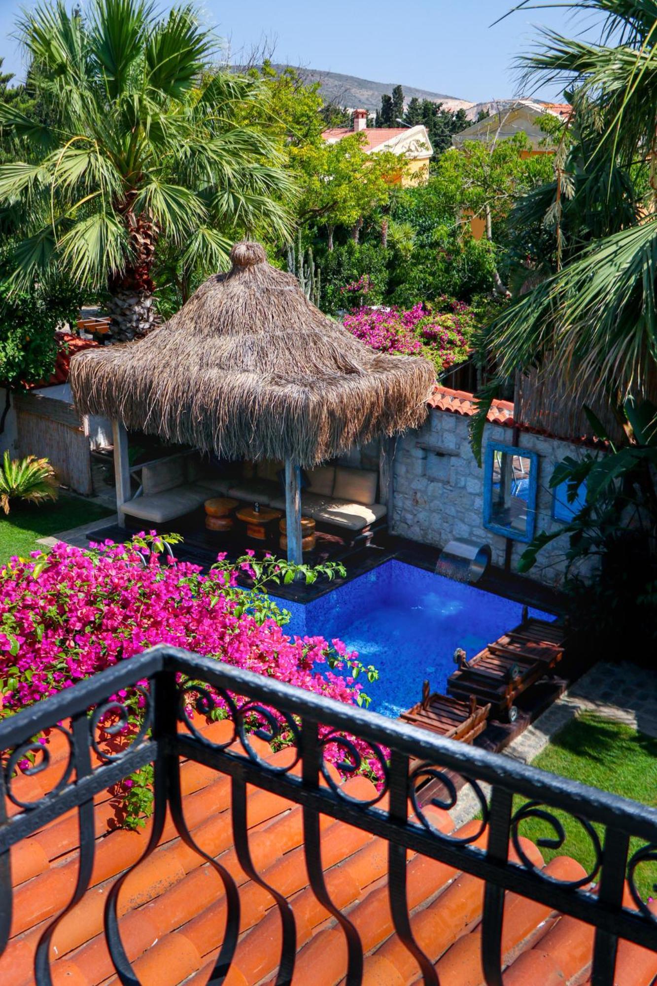 Cocopalm Boutique Hotel 阿拉恰特 外观 照片