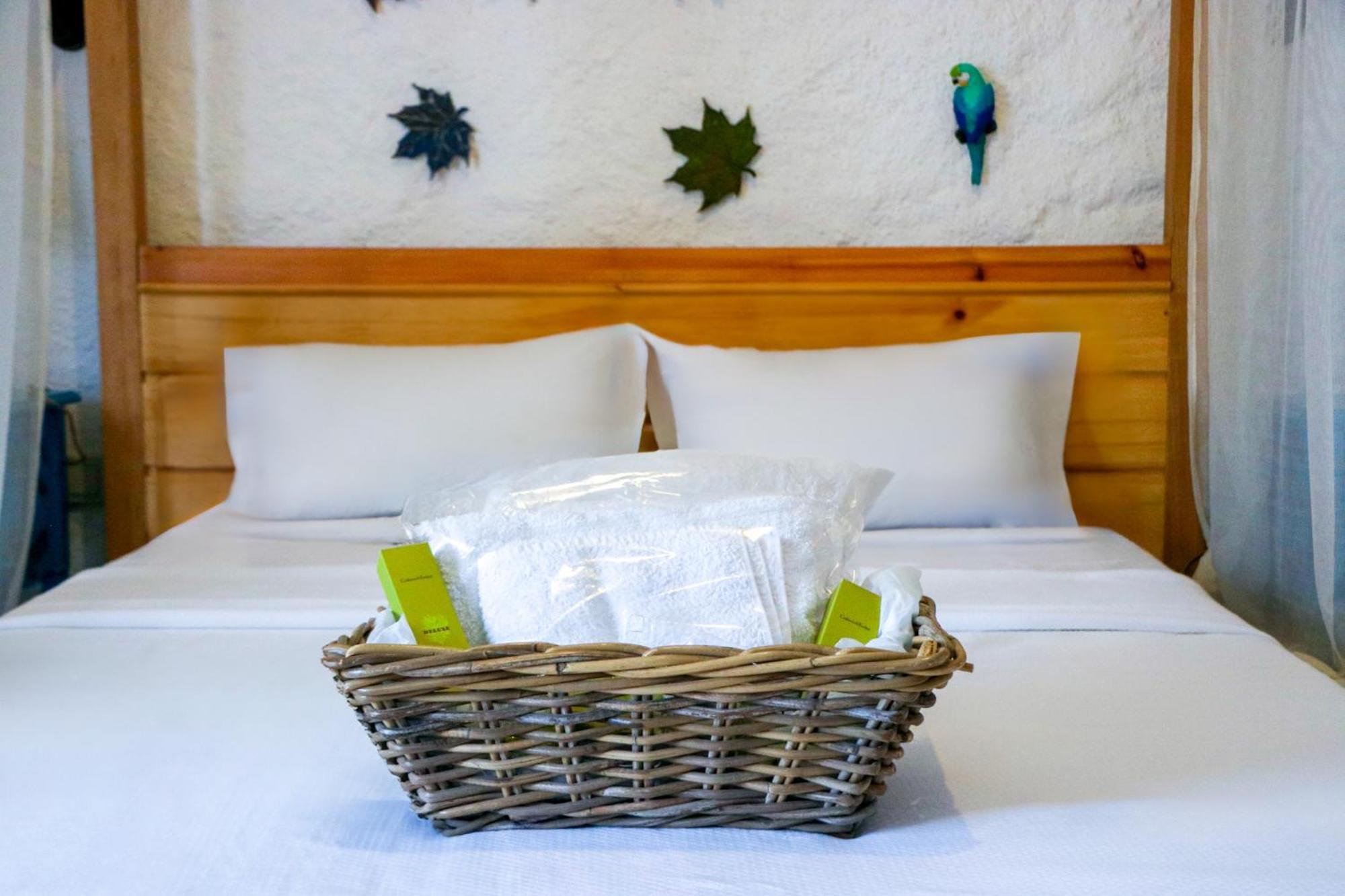Cocopalm Boutique Hotel 阿拉恰特 外观 照片